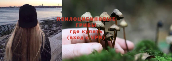 ГАЛЛЮЦИНОГЕННЫЕ ГРИБЫ Наволоки
