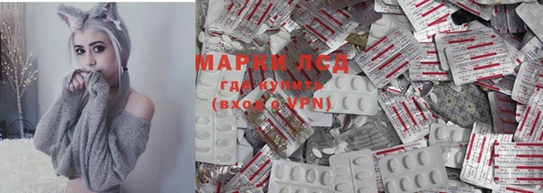 ГАЛЛЮЦИНОГЕННЫЕ ГРИБЫ Наволоки