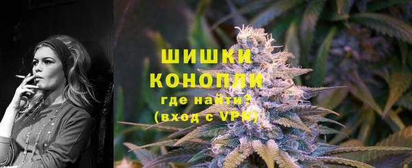 ГАЛЛЮЦИНОГЕННЫЕ ГРИБЫ Наволоки