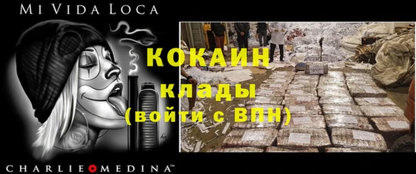 ГАЛЛЮЦИНОГЕННЫЕ ГРИБЫ Наволоки