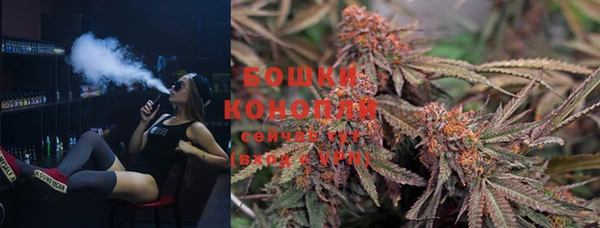 ГАЛЛЮЦИНОГЕННЫЕ ГРИБЫ Наволоки